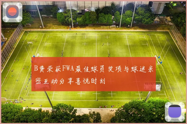 B费荣获FWA最佳球员奖项与球迷亲密互动分享喜悦时刻