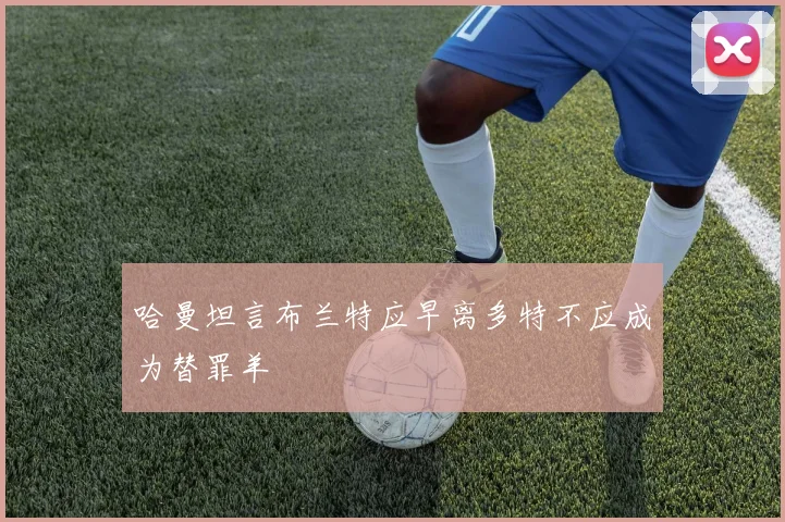 哈曼坦言布兰特应早离多特不应成为替罪羊