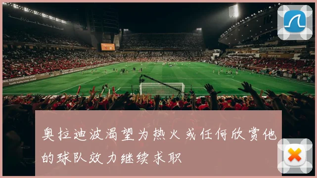奥拉迪波渴望为热火或任何欣赏他的球队效力继续求职